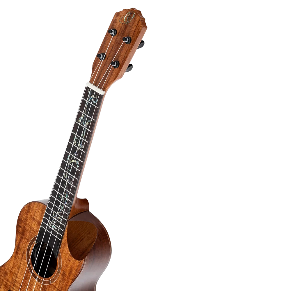 Ortega RUET-ACA Elite Series Concert Ukulele ~ Acacia