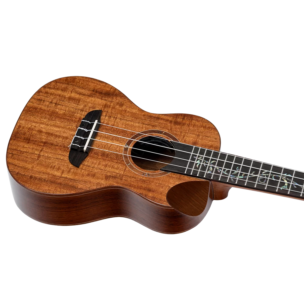 Ortega RUET-ACA Elite Series Concert Ukulele ~ Acacia