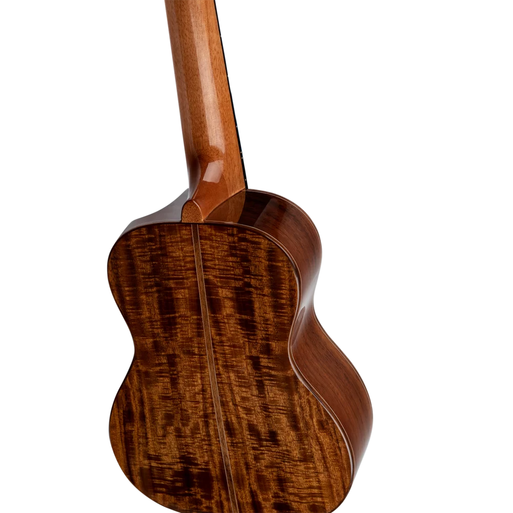 Ortega RUET-ACA Elite Series Concert Ukulele ~ Acacia