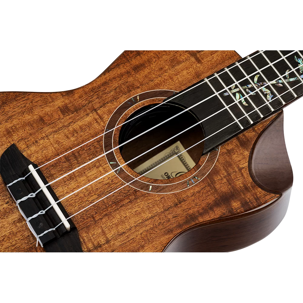 Ortega RUET-ACA Elite Series Concert Ukulele ~ Acacia