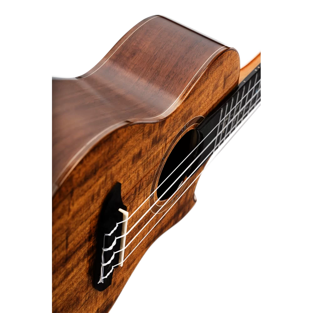 Ortega RUET-ACA Elite Series Concert Ukulele ~ Acacia