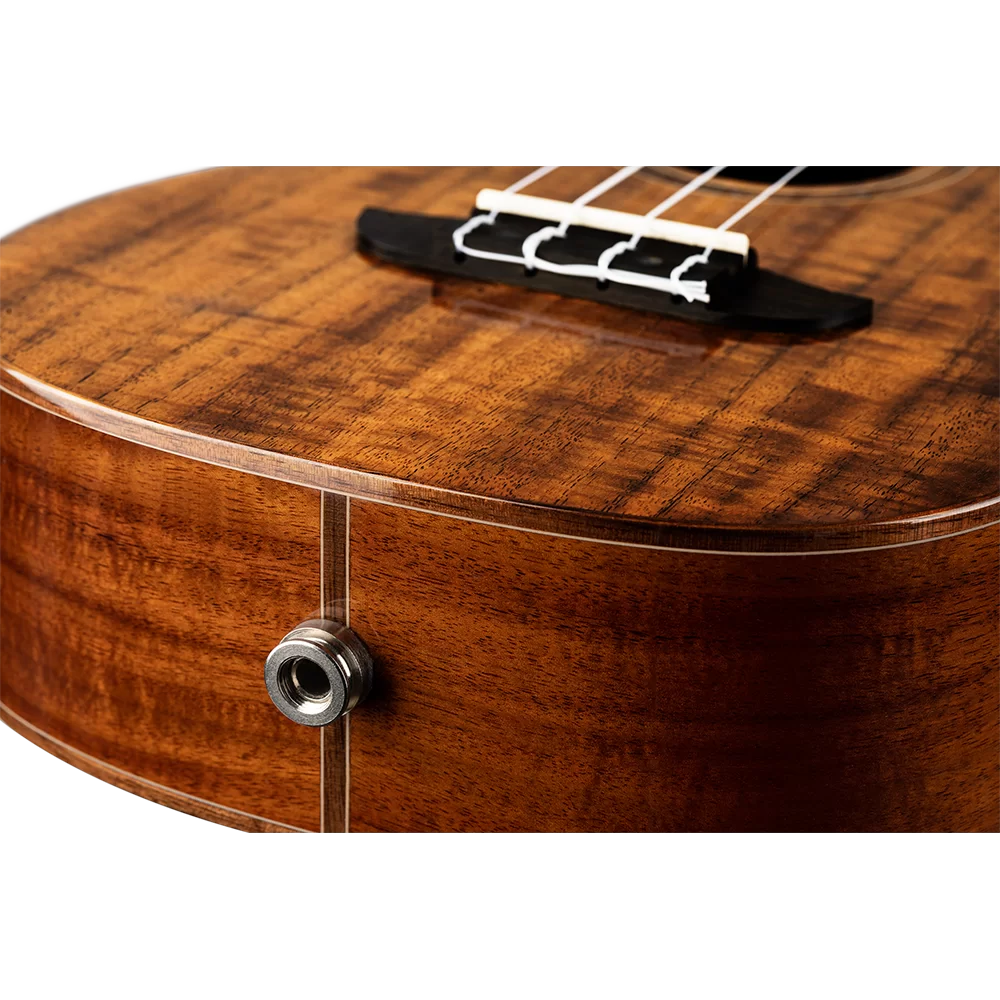 Ortega RUET-ACA Elite Series Concert Ukulele ~ Acacia