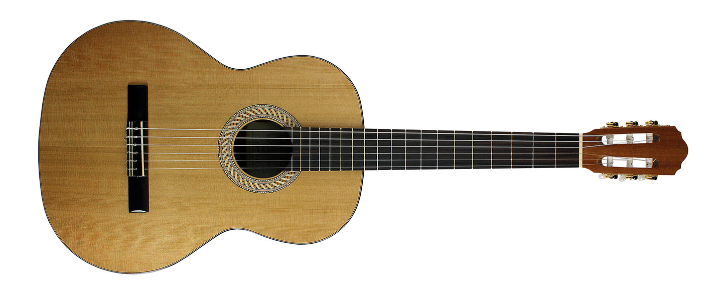 Kremona Soloist S65C ~ Open Pore Satin