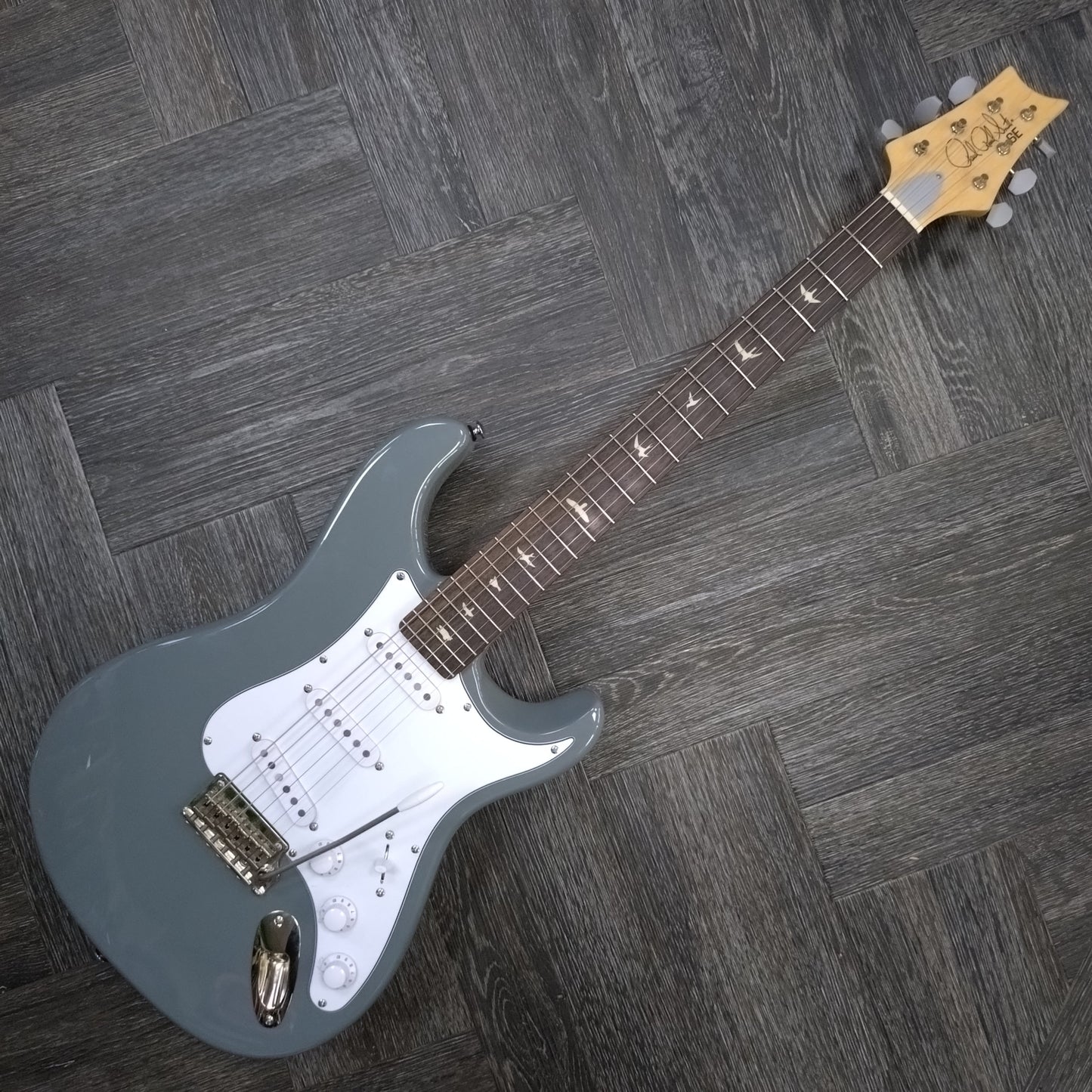 Paul Reed Smith SE Silver Sky ~ Storm Grey [2023]