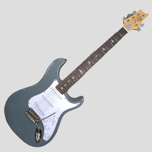 Paul Reed Smith SE Silver Sky ~ Storm Grey [2023]