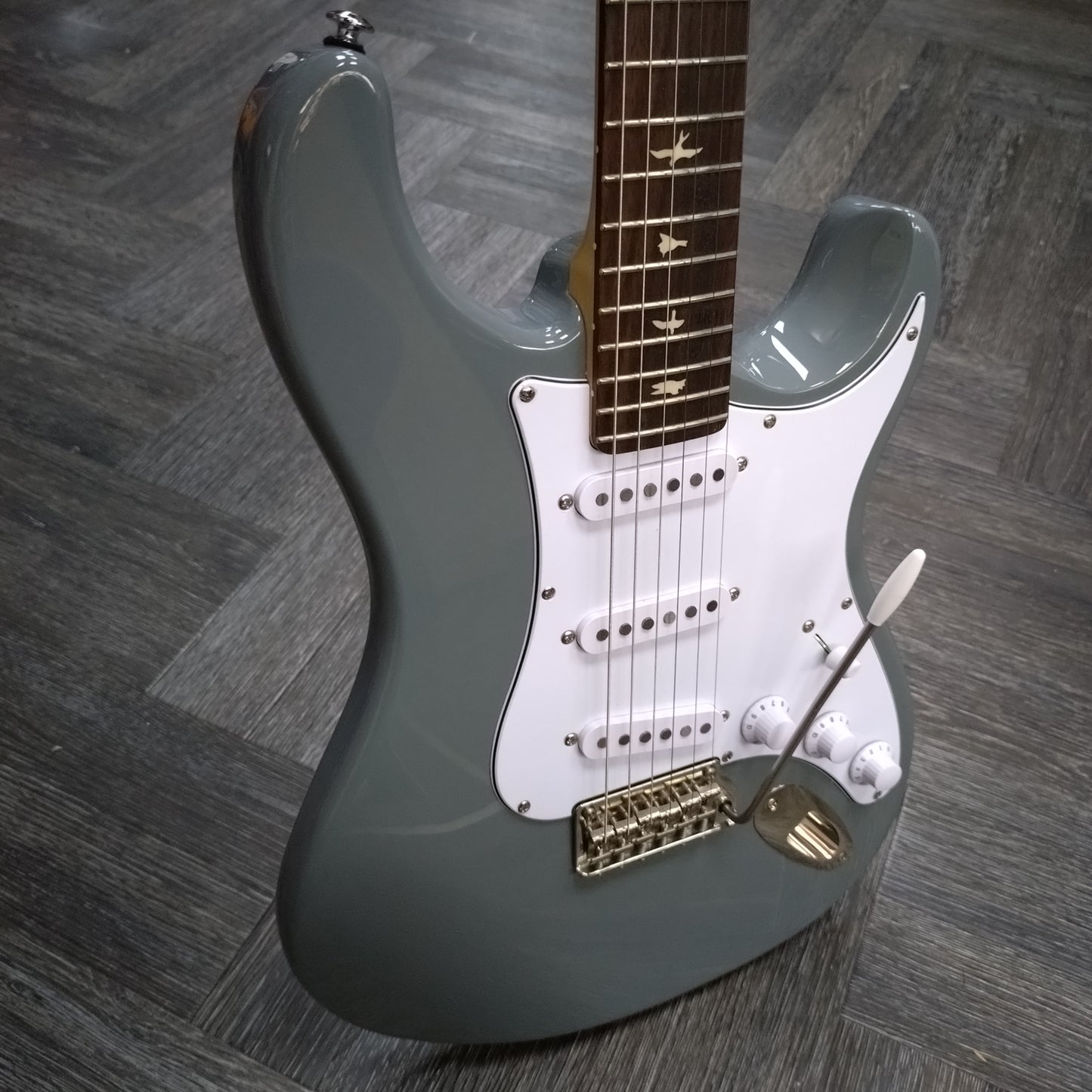 Paul Reed Smith SE Silver Sky ~ Storm Grey [2023]