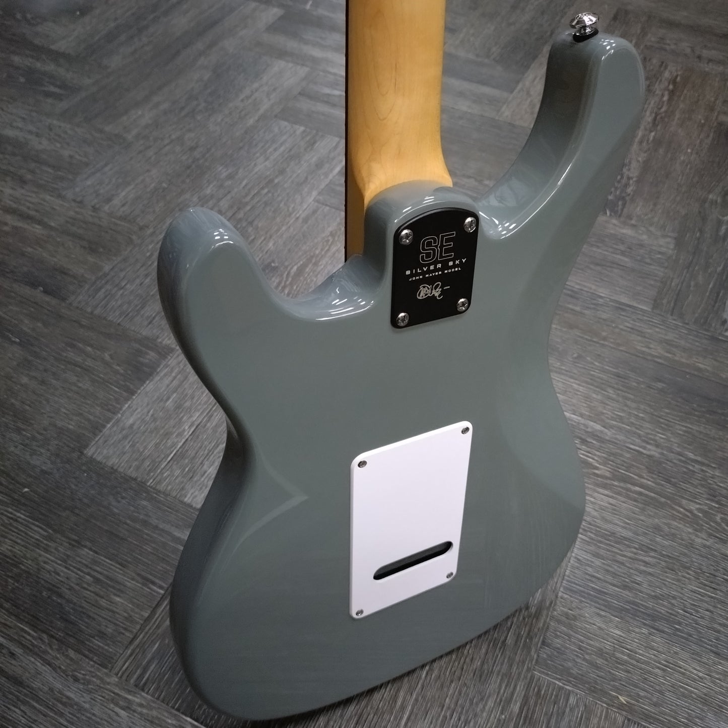 Paul Reed Smith SE Silver Sky ~ Storm Grey [2023]
