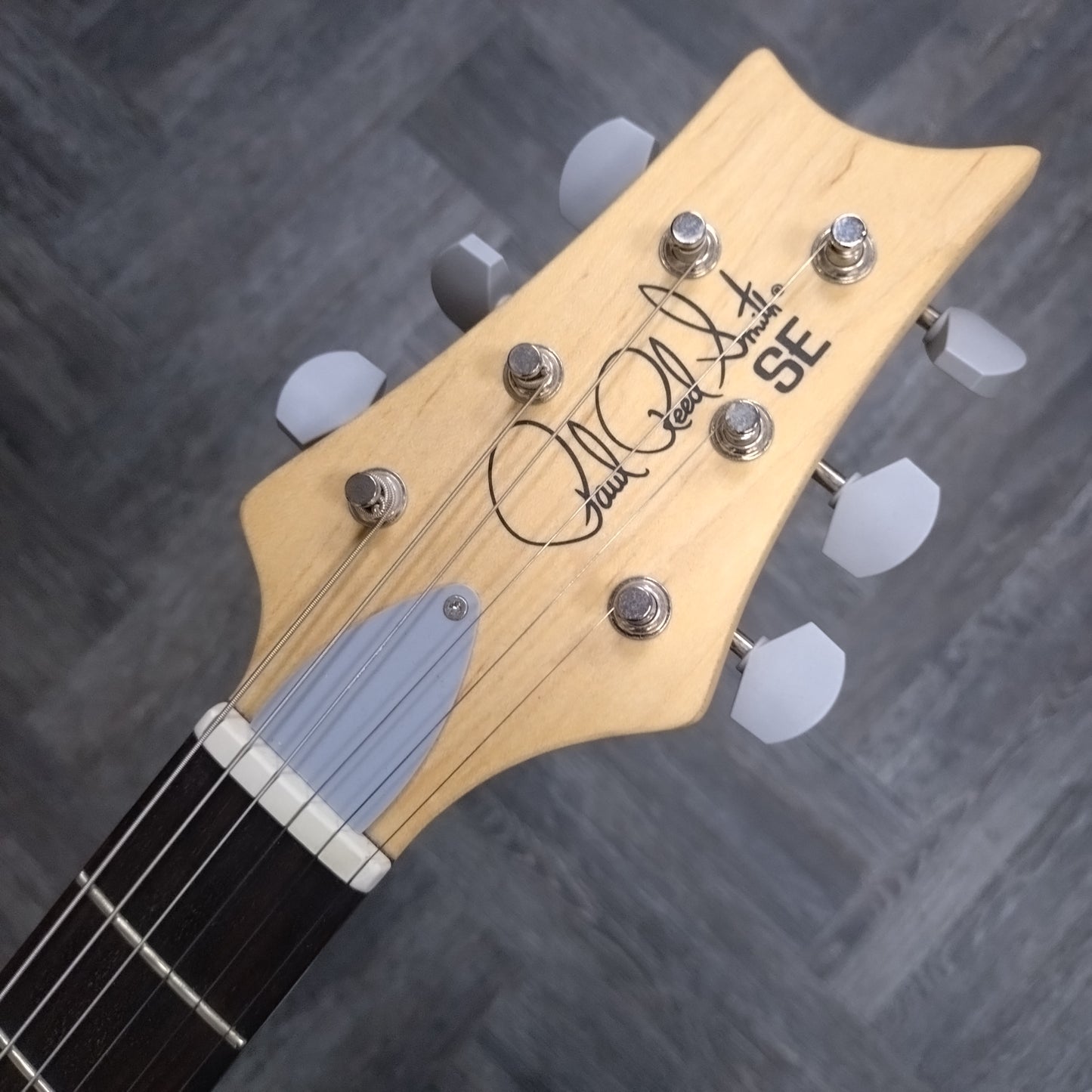 Paul Reed Smith SE Silver Sky ~ Storm Grey [2023]