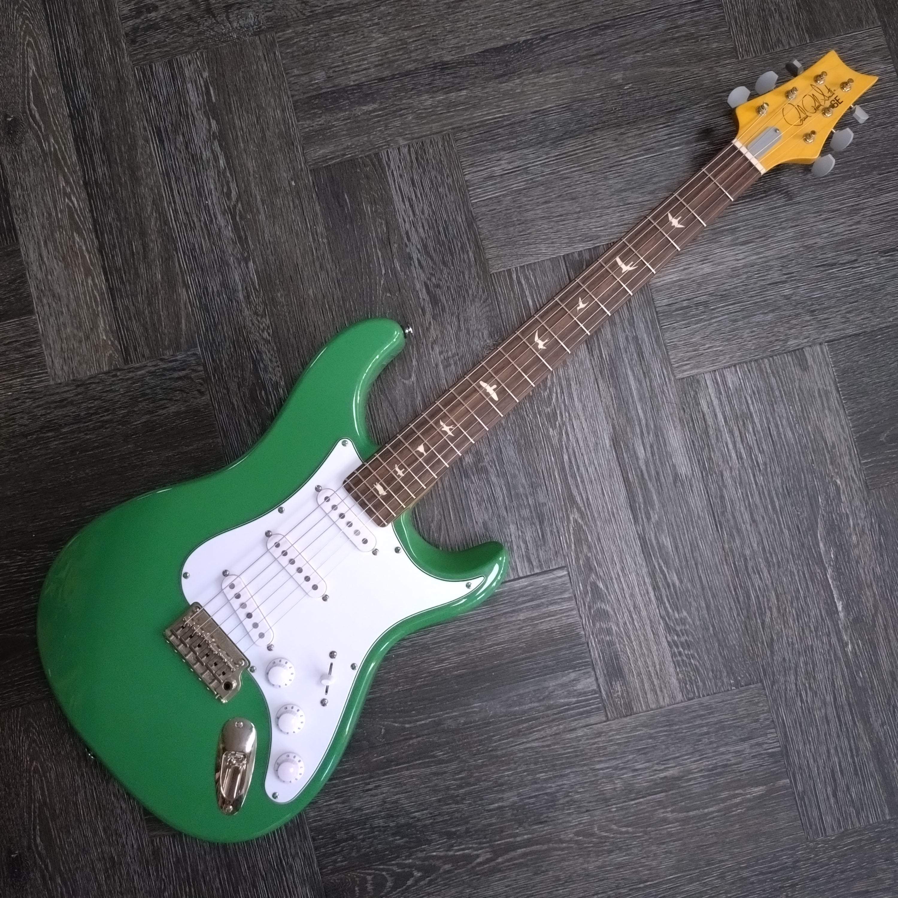 Paul Reed Smith SE Silver Sky ~ Ever Green [2022] – Joanie's