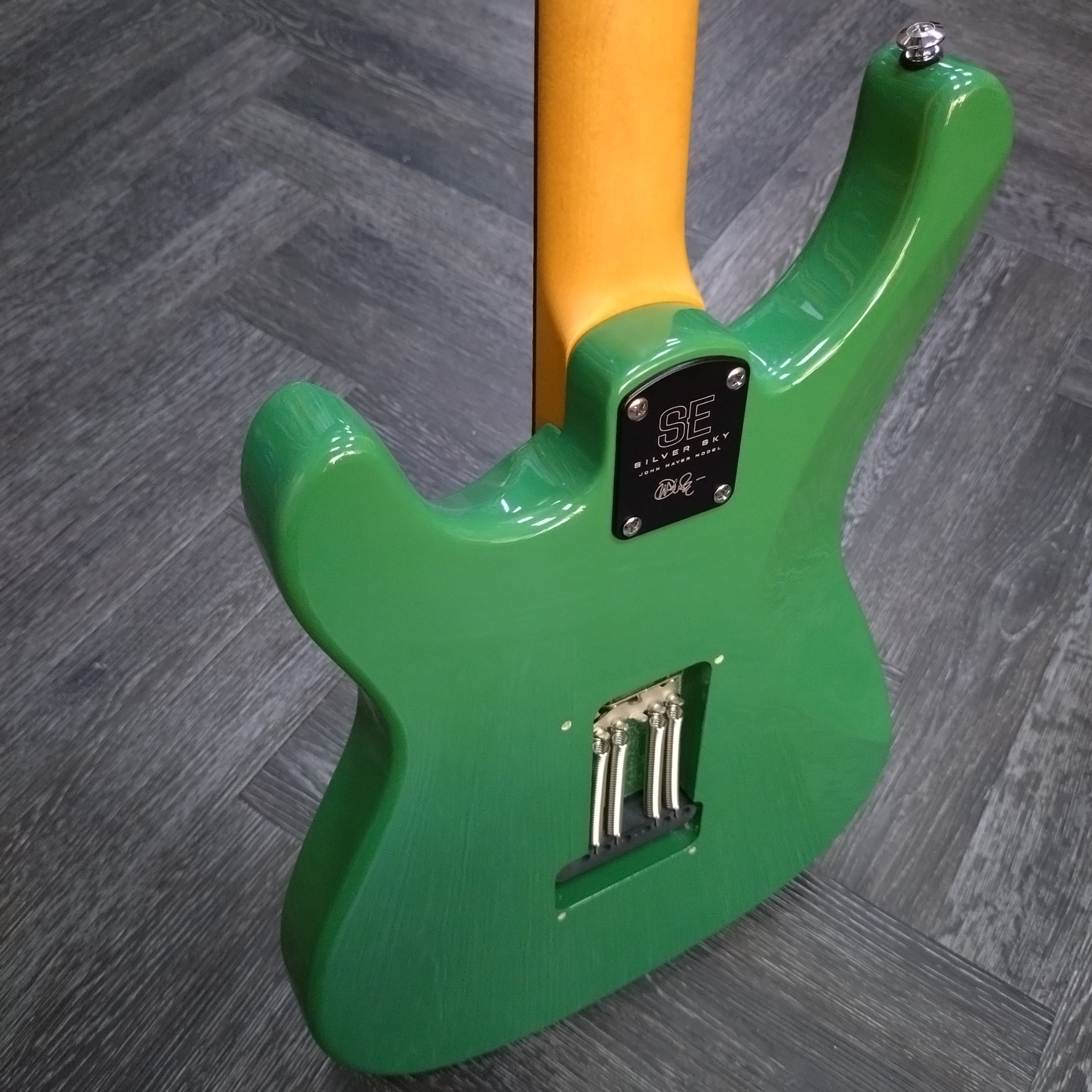 Paul Reed Smith SE Silver Sky ~ Ever Green [2022] – Joanie's