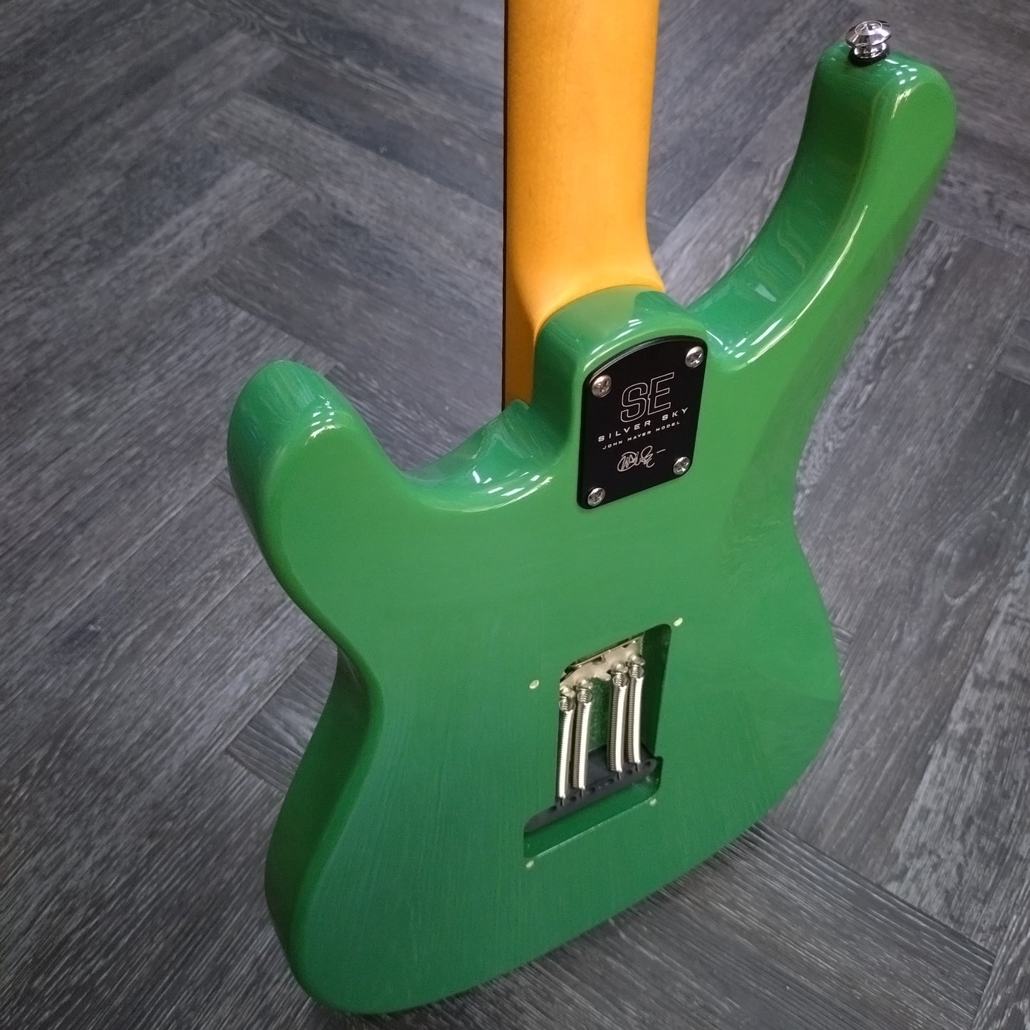 Paul Reed Smith SE Silver Sky ~ Ever Green [2022]