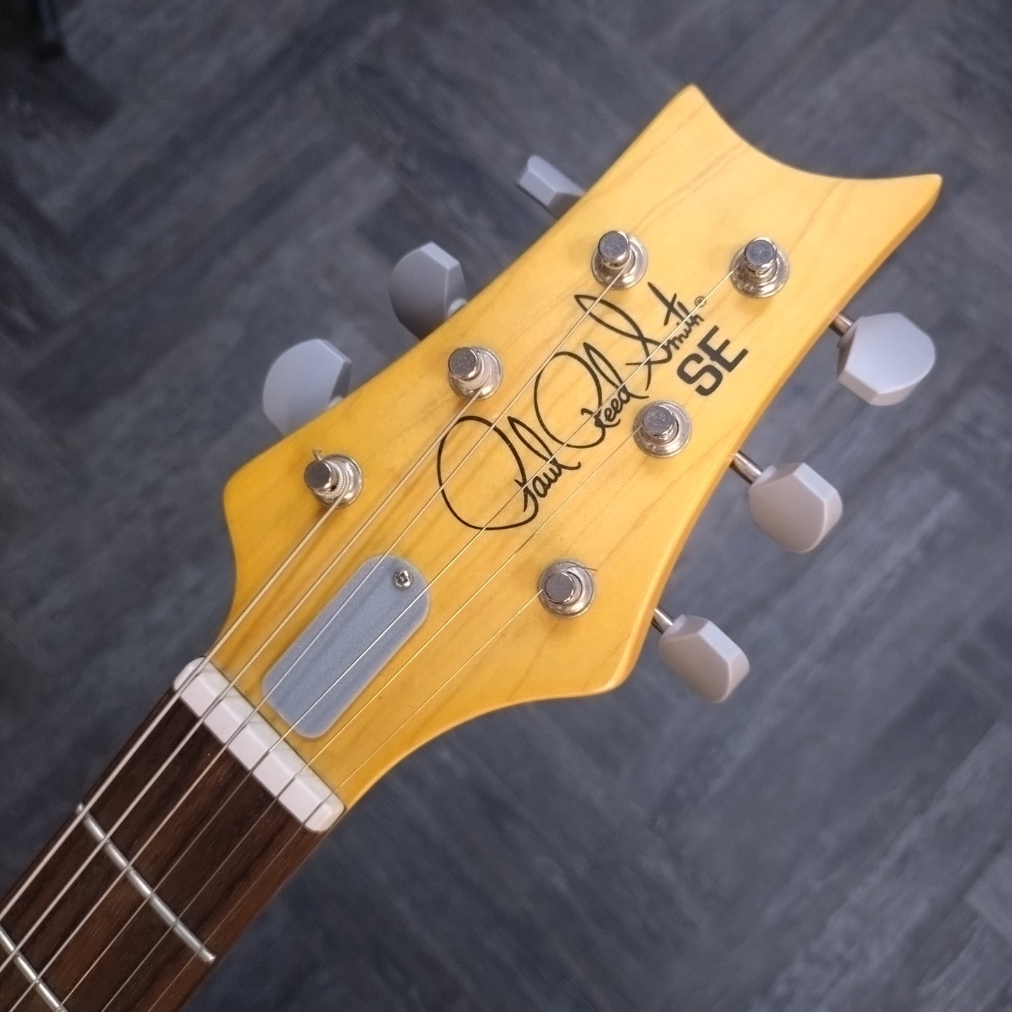 Paul Reed Smith SE Silver Sky ~ Ever Green [2022]