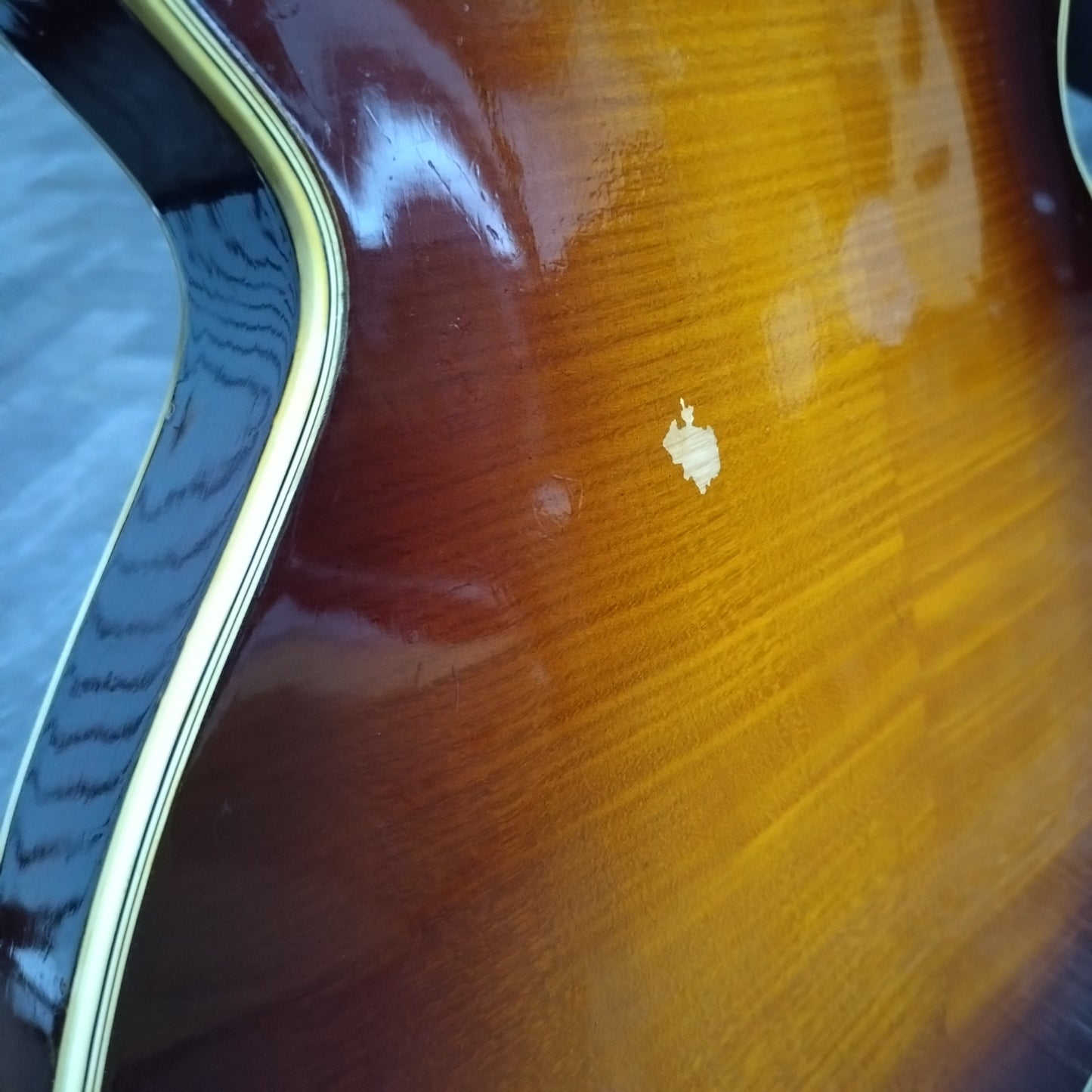 Hofner President Bass ~ Brunette Sunburst [1964]