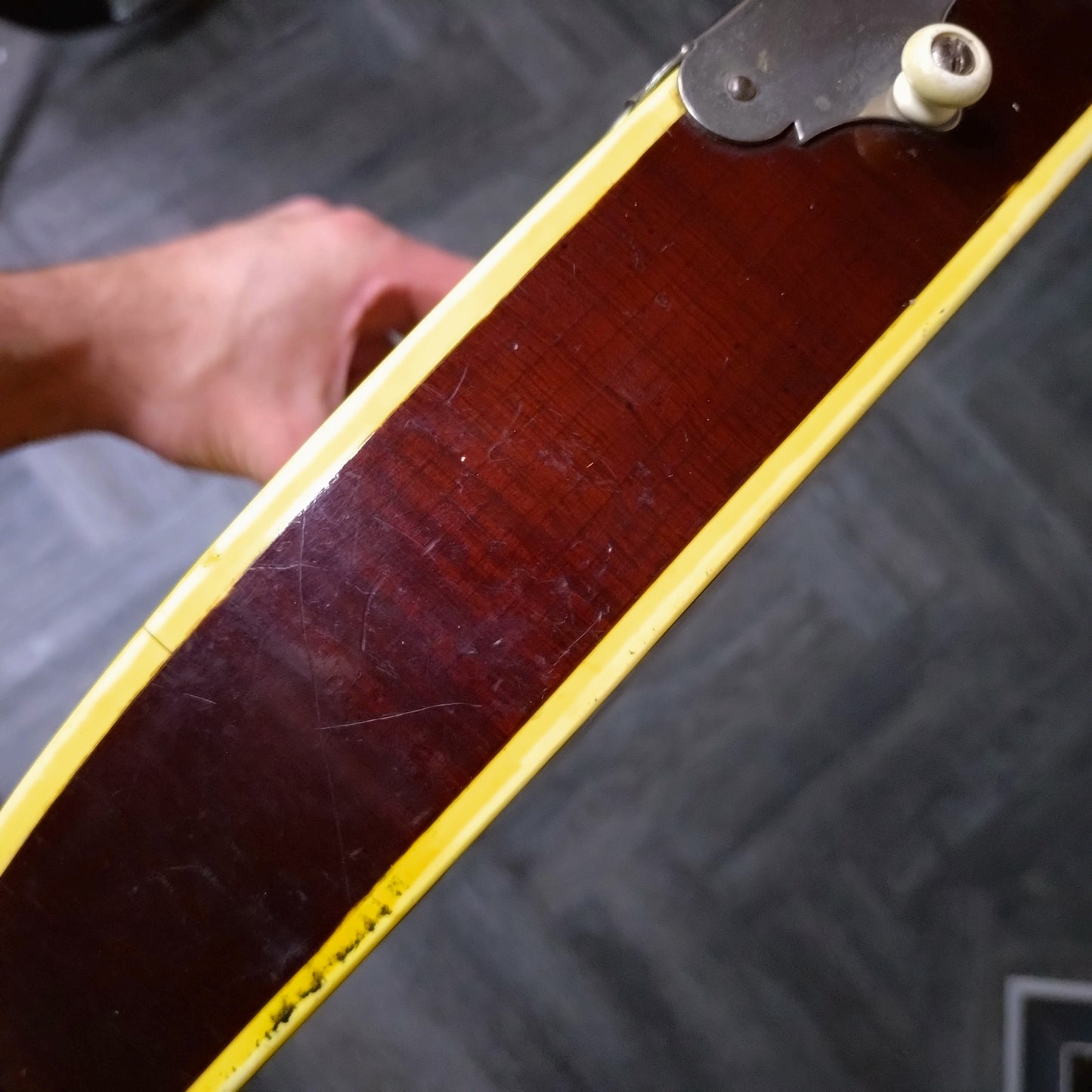 Hofner President Bass ~ Brunette Sunburst [1964]