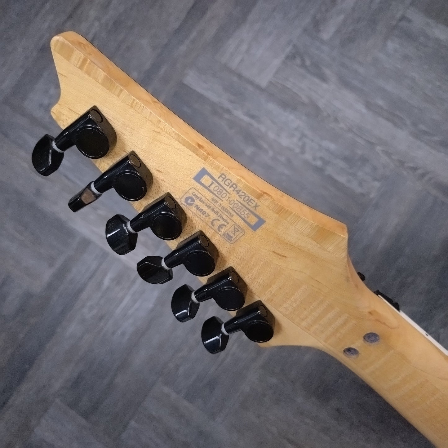 Ibanez RGR420EX ~ Silver Arctic Frost [2008]