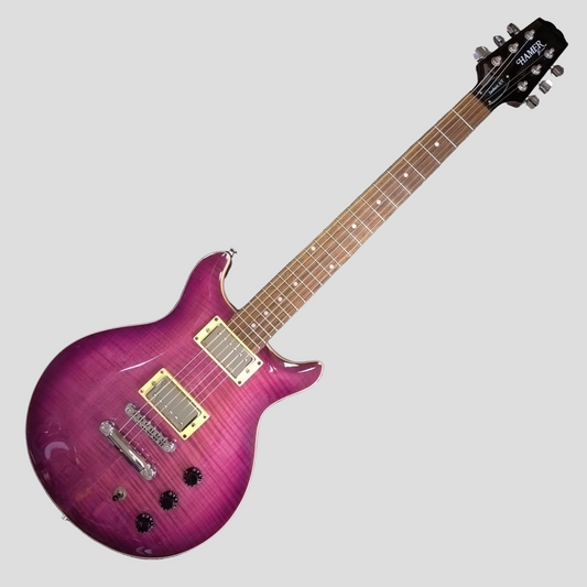 Hamer XT Series Archtop ~ Purple Sunburst [2006]