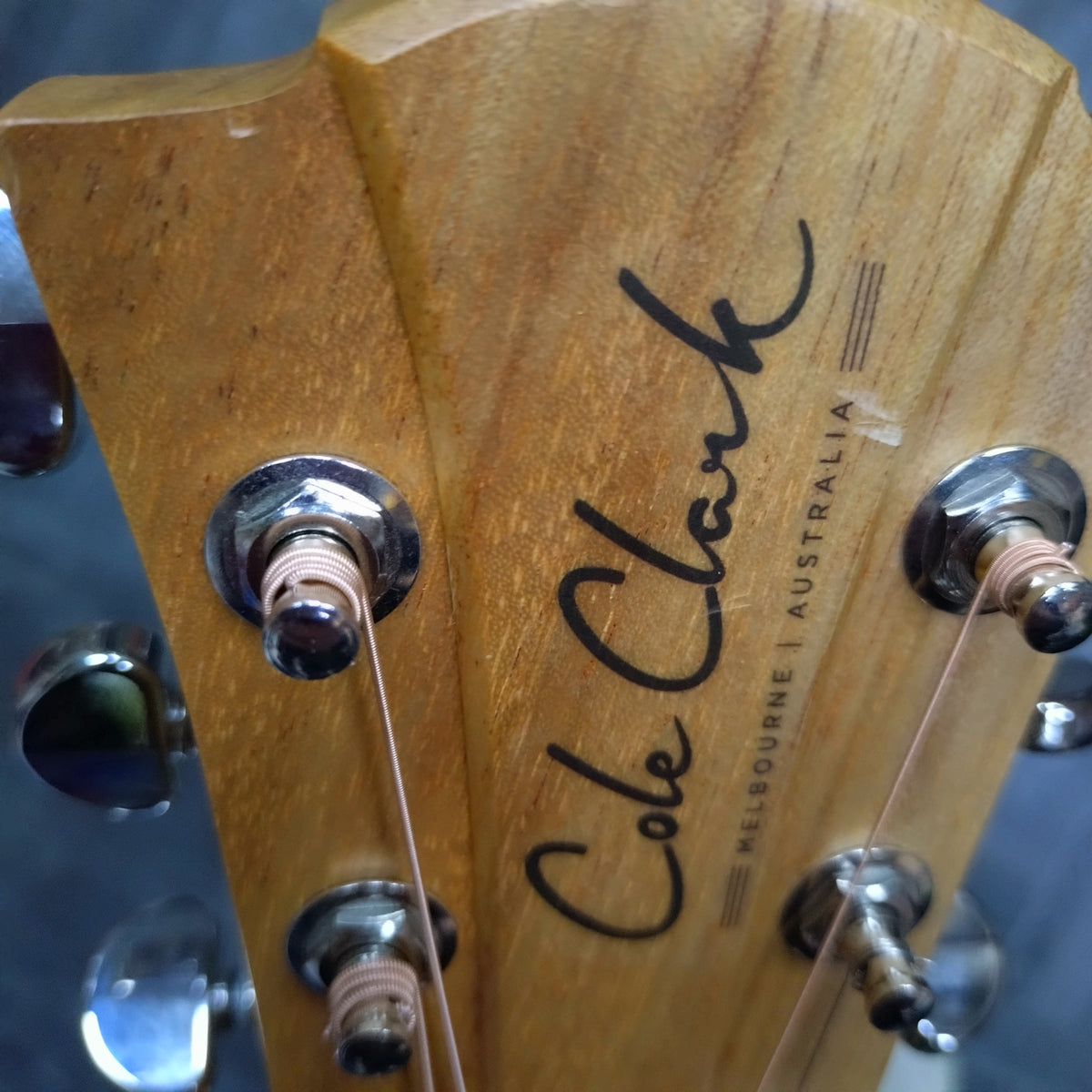 Cole Clark "Fat Lady" FL1E ~ Bunya/Blackwood [year]