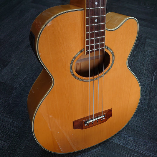 Epiphone El Capitan C4 ~ Natural [2000]