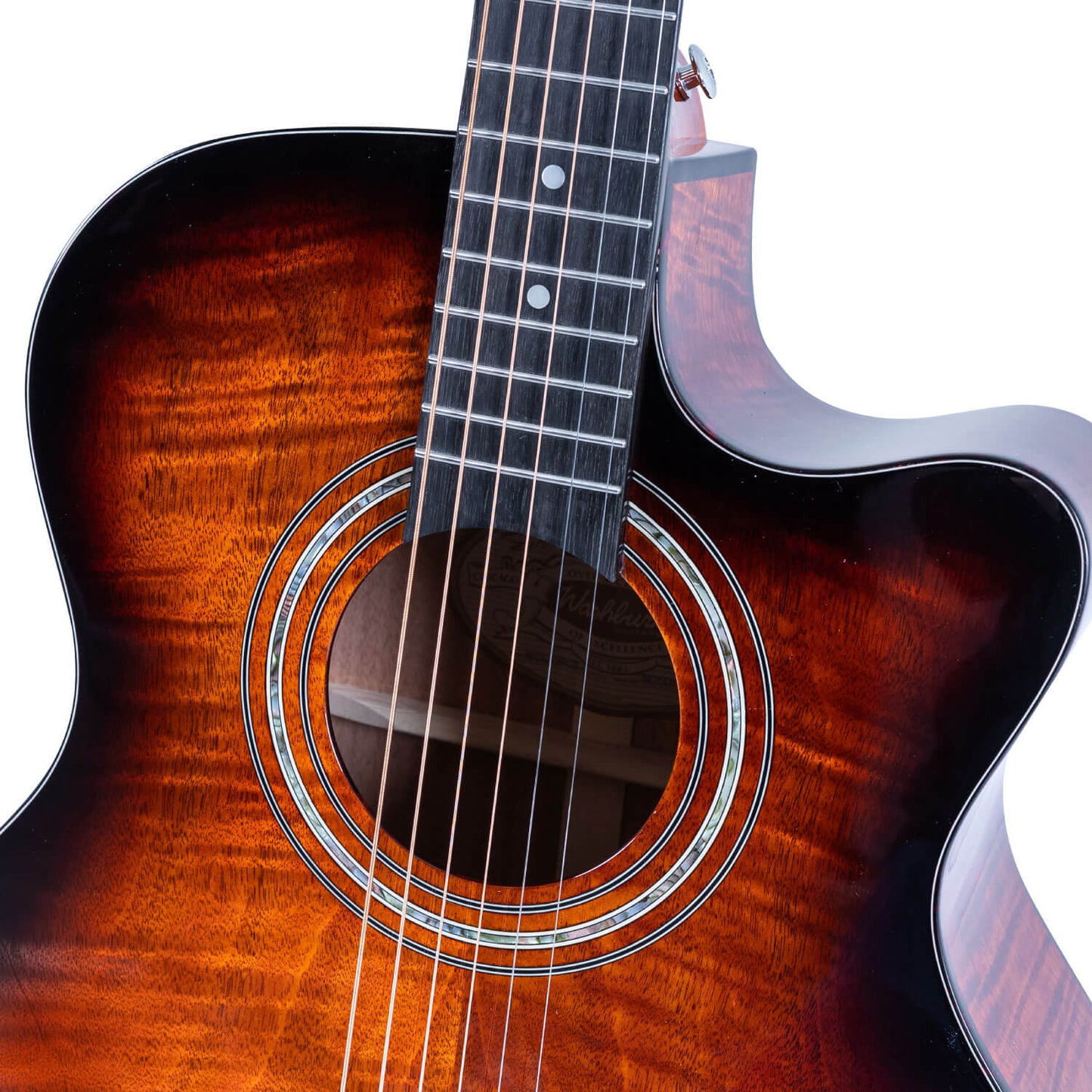 Washburn Comfort WCG12FCE ~ Cognac Sunburst