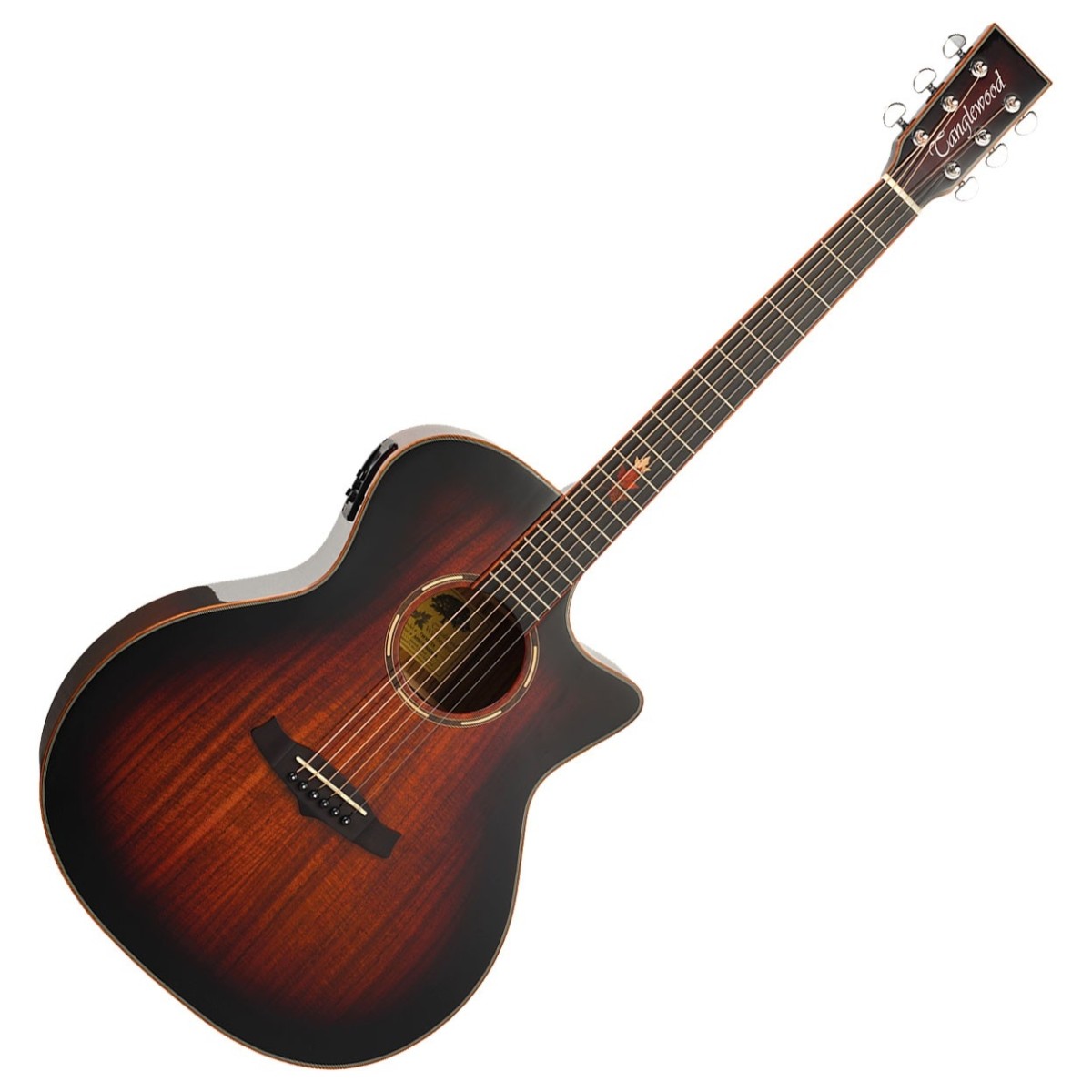 Tanglewood Winterleaf Exotic Grand Auditorium TWX6EK Electro Acoustic