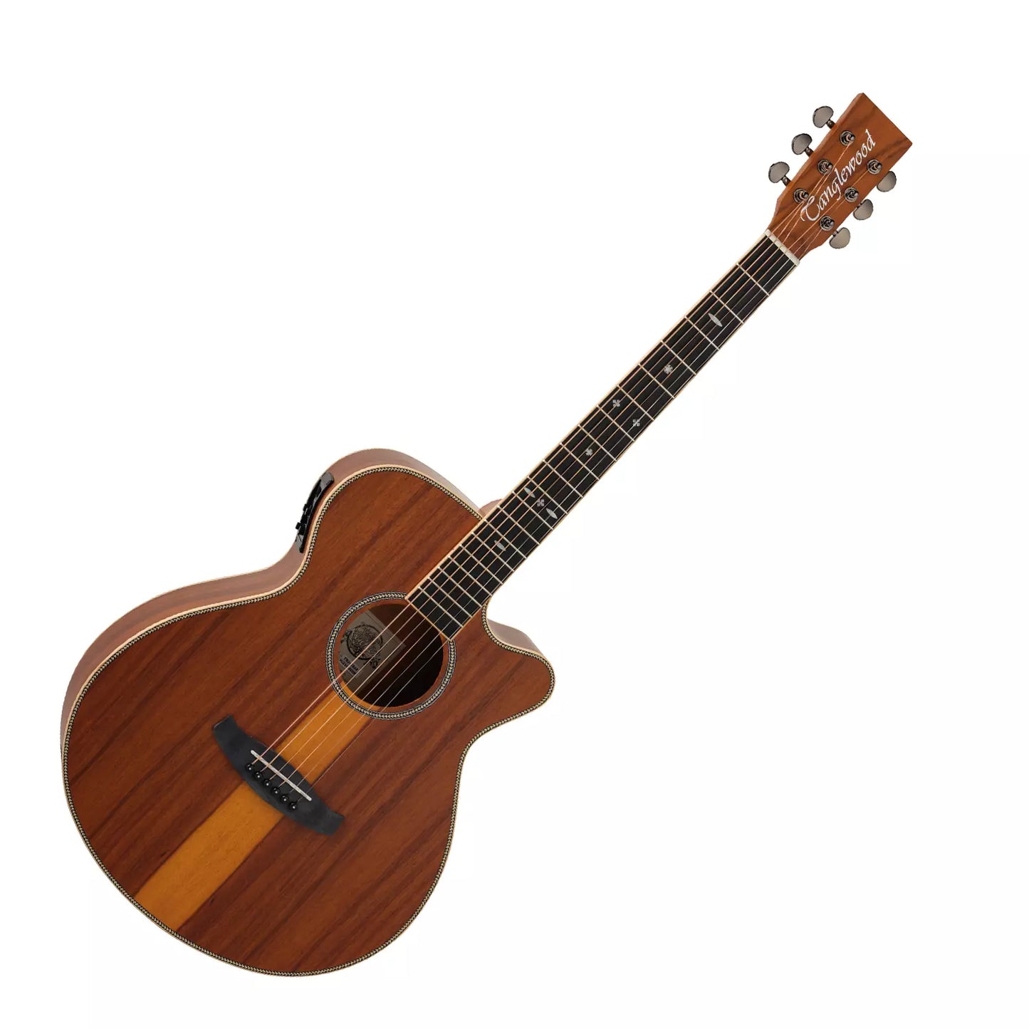 Tanglewood Reunion Pro Electro Acoustic ~ Santos