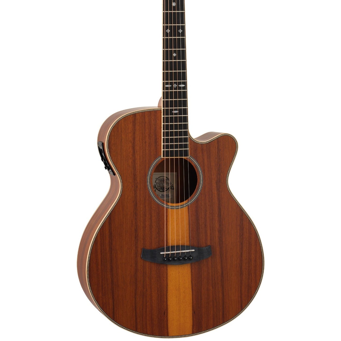 Tanglewood Reunion Pro Electro Acoustic ~ Santos